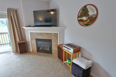 Gas Fireplace