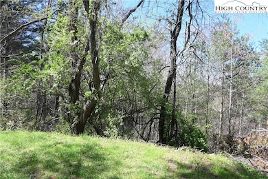 15 River Bend Hills Rd, Crumpler, NC 28617 - photo 6