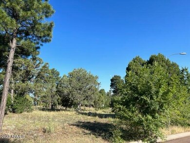 600 S Reynolds Ln unit 51, Show Low, AZ 85901 - photo 7