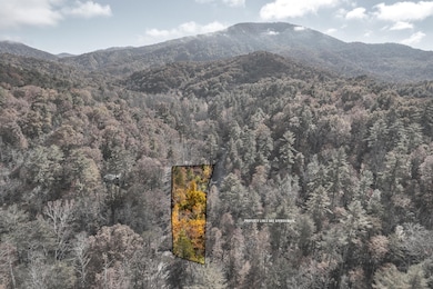 00 River Rd, Tellico Plains, TN 37385 - photo 4