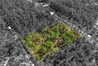 5783 W Cisco St, Beverly Hills, FL 34465 - photo 2