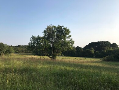 0 W Gordon Pond Rd unit 1286444, Lafayette, GA 30728 - photo 4