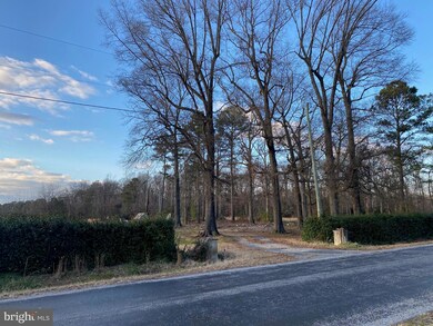 4343 Cattail Branch Rd, Harrington, DE 19952 - photo 3