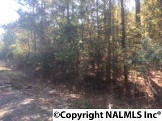 0 Lindsey St unit 1056553, Rainbow City, AL 35906 - photo 4