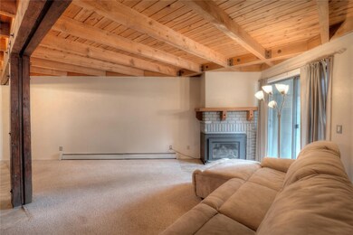 Living Room with new gas fireplace and gorgeous wo