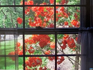 3721 Ivy Rd, Charlottesville, VA 22903 - photo 6