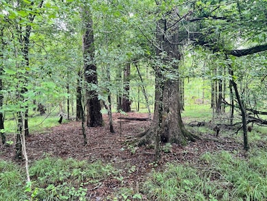 0 Prospect Church Rd, Norwood, GA 30821 - photo 3