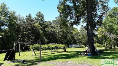 Part of the front yard and grape vines