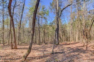 There is over an acre of level land.