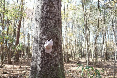 0 Hwy 82, Reform, AL 35481 - photo 4