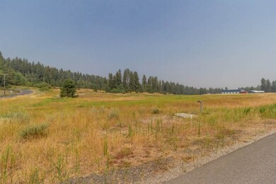 000 E Chattaroy Rd, Chattaroy, WA 99003 - photo 4