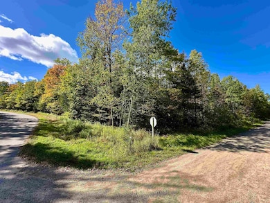 3313 Johnson Rd, Crandon, WI 54520 - photo 2