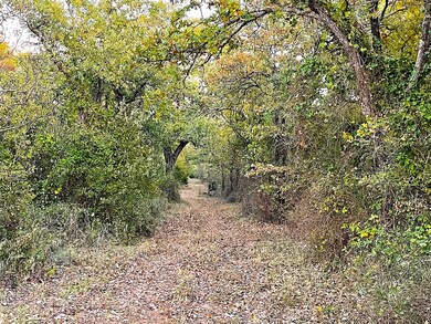 TBD Indian Camp Rd, Weatherford, TX 76087 - photo 2