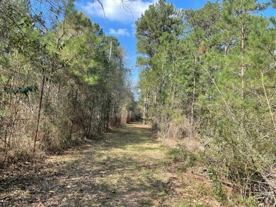 TBD Longbow St, Hockley, TX 77447 - photo 4