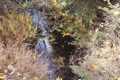 114a Packer Creek Rd, Haugen, MT 59842 - photo 2