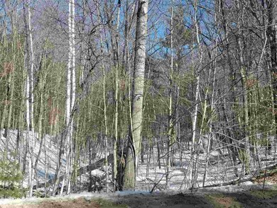 off Wilson Hill Rd, Francestown, NH 03043 - photo 4