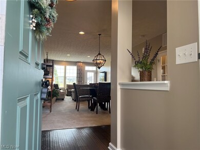 812 Robinson Dr, Lagrange, OH 44050 - photo 3