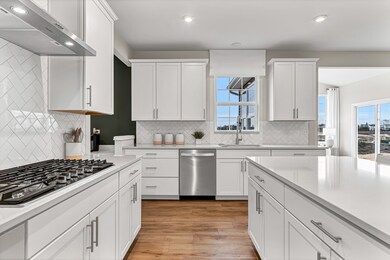 12966 S Twin Pines Ln, Plainfield, IL 60585 - photo 5