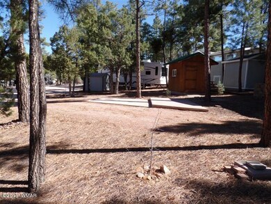 SAM_0261 (Small)