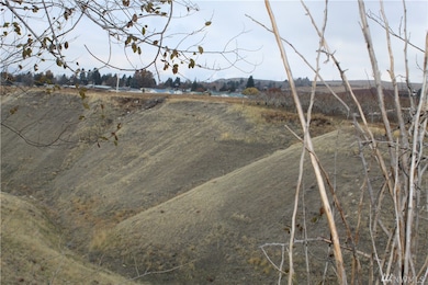 2207 3rd St NE, East Wenatchee, WA 98802 - photo 4