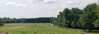 Field