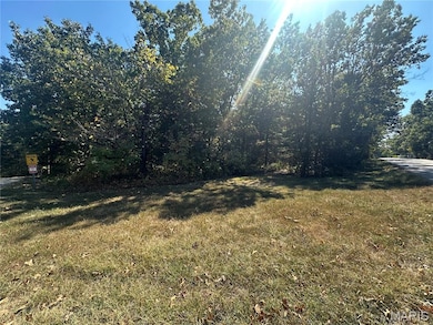 0 N St Francois Rd unit MIS25063814, Bonne Terre, MO 63628 - photo 2