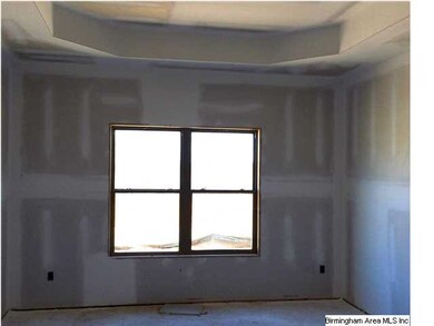 Large master bedroom with tray ceiling