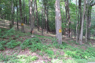 795 New Forge Rd II, Taghkanic, NY 12521 - photo 7