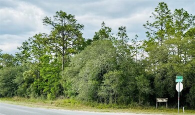 LOOKING TO THE NE AT THE SW CORNER OF LOT