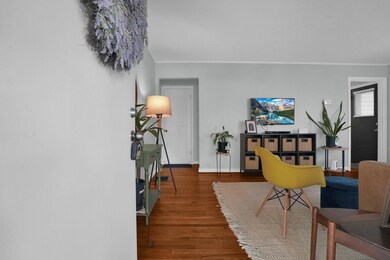 LARGE LIVING ROOM