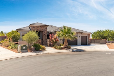 379 Chuckwalla-3
