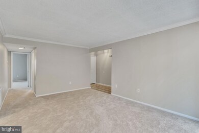 12249 Stevenson Ct unit 12249, Woodbridge, VA 22192 - photo 5