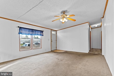 21 Hidden Noll Rd, Carlisle, PA 17013 - photo 3