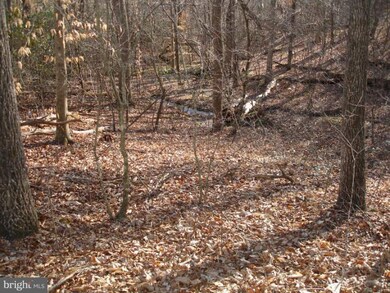 0 Curling Creek Ln unit 1003865754, Rixeyville, VA 22737 - photo 2