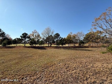 151 Pine Ridge Dr, Wallace, NC 28466 - photo 5