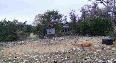 33 Sd 24750, Rocksprings, TX 78880 - photo 5