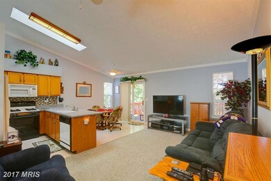 1442 Georgia Ave, Severn, MD 21144 - photo 7