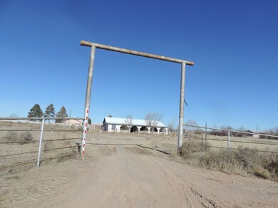 LariatNew (6)