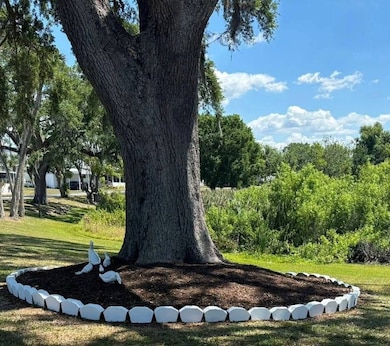 234 Green Haven Rd W, Dundee, FL 33838 - photo 6