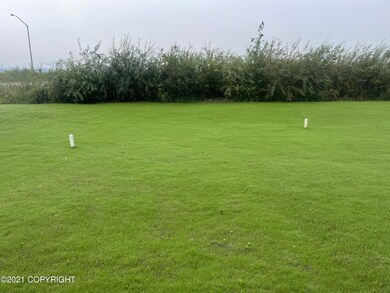 Coho New Yard