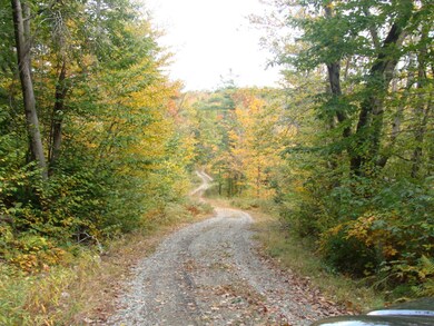 driveway in place