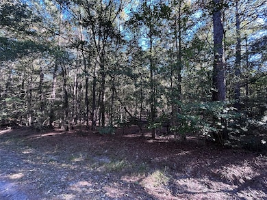 lot 16 Hackberry Dr, Wildwood, TX 77625 - photo 2