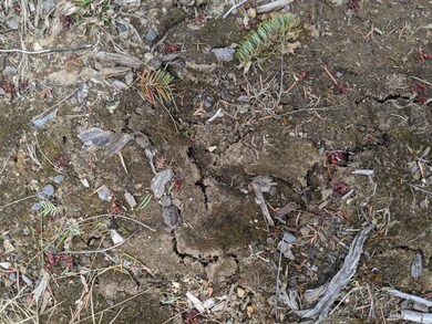 0 State Park Rd unit 1490059, Dover-Foxcroft, ME 04426 - photo 5