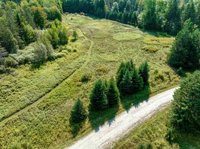 300 N Hollow Rd unit Lot 1, Stowe, VT 05672 - photo 4