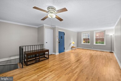 2970 S Columbus St unit A1, Arlington, VA 22206 - photo 4