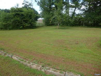 465 Longview Rd, Henagar, AL 35978 - photo 5