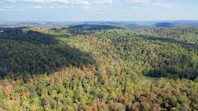 600 James Meece Rd, Somerset, KY 42501 - photo 3