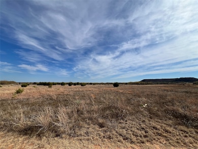 TBD Mathews Sur 52, Santa Anna, TX 76878 - photo 4