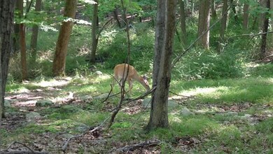 0 Blake Rd unit 71870394, Danville, NH 03819 - photo 3