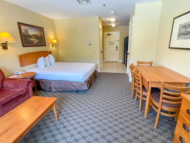 243 Q4 Jackson Gore unit 243 Q4, Ludlow, VT 05149 - photo 4